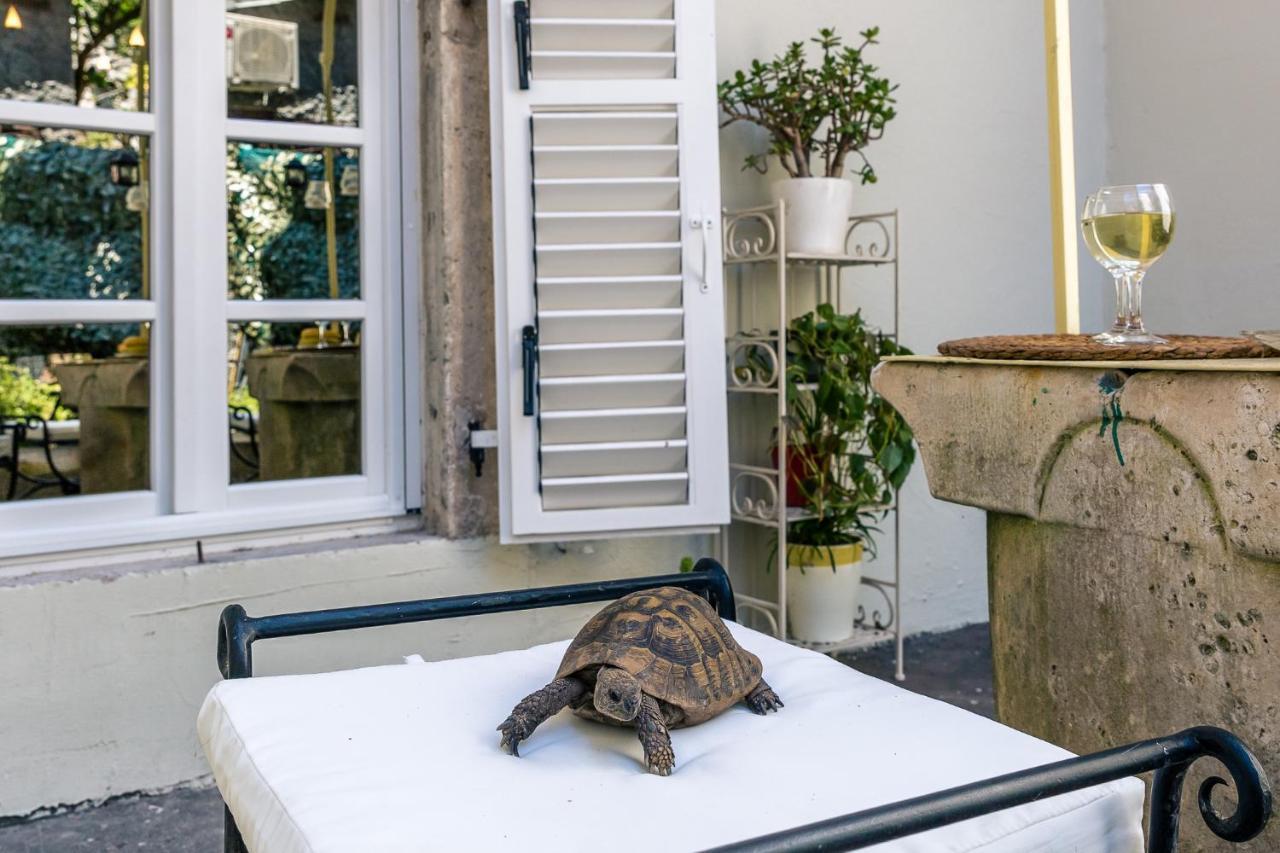 Perfetto Perasto Residence Εξωτερικό φωτογραφία